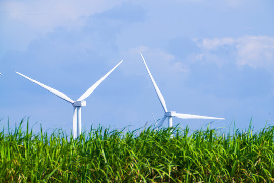 The collector substation humming between the wind rows across the Thai wind farm landscape in brilliant daylight at a renewable energy site in Thailand with rows of white turbines behind.