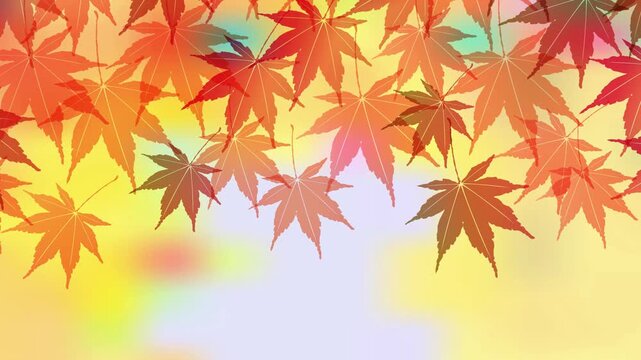Autumn Japanese Maple Leaves Illustration 4K