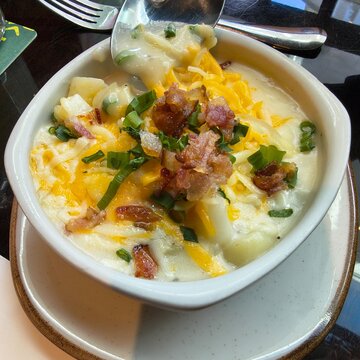 Sopa