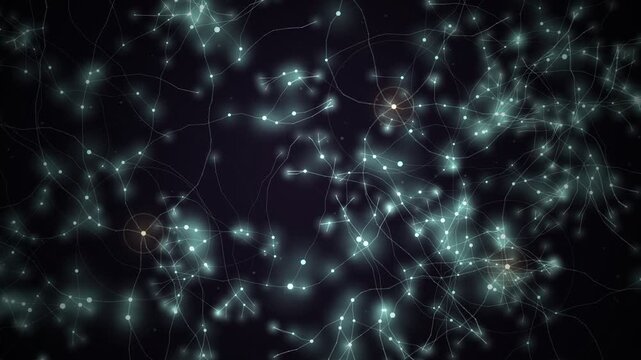 Mycelium Fungal Network Growth Glowing Reveal Animation