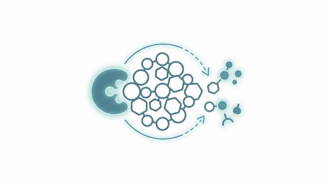Scientific Illustration of an Enzyme Breaking Down Complex Molecules into Smaller Biochemical Products