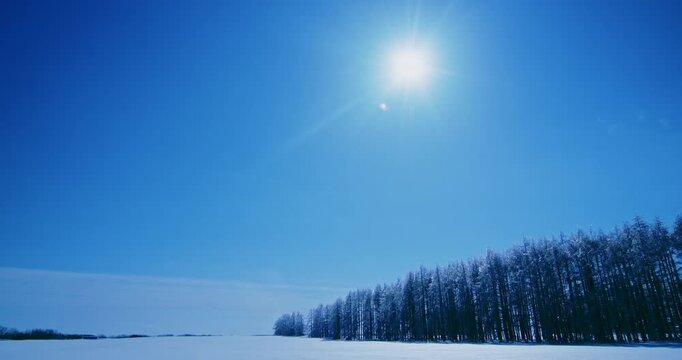 Bright winter sun over a snow-covered field in Hokkaido, Japan