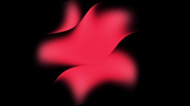 Ruby Red Soft Rose fluid gradient animation with glowing wavy shapes on black background, smooth liquid light motion, vibrant abstract design, futuristic digital artwork, seamless 4K loop