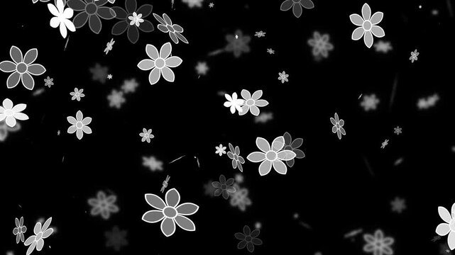 White flower particles fading animation on black background