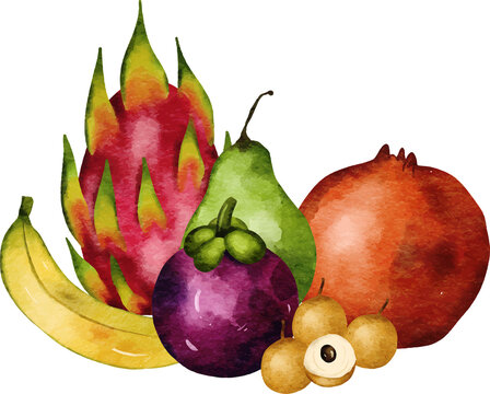 Watercolor exotic fruit arrangement with dragon fruit, banana, and pomegranate