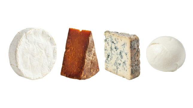 Set of four gourmet artisan cheeses including Brie, aged Gouda, Blue cheese, and fresh Mozzarella isolated on transparent background.