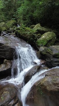 Drone flying over a rocky stream in the middle of a rainforest. Vertical