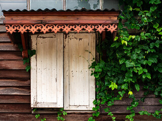 Weathered White Wooden Window Shutters with Green Vine and Carved Trim © Tavan