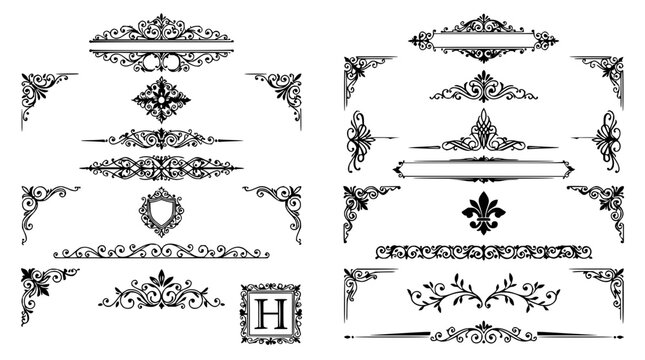 Decorative borders and flourishes set with ornate floral patterns featuring vines, leaves, and swirls with elegant curls and intricate scrollwork