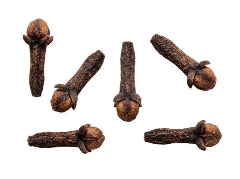 Six whole cloves spice isolated detailed view isolated on transparent background