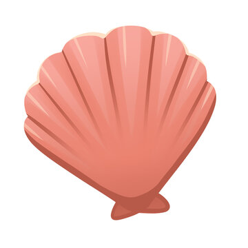 Pink seashell illustration isolated on white background, ocean sea shell element