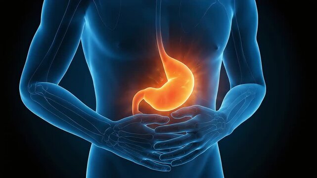 CG illustrations of the human body depicting stomach pain, gastritis, and stomach aches.