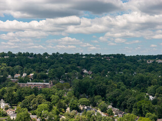 Fototapeta premium Top-down view of lush deciduous trees in the White Plains metropolitan area