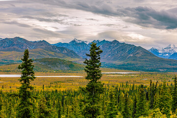 Fototapeta premium Autumn tundra stretches toward snow-capped Chugach peaks along Alaska's Glenn Highway.
