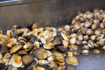Fresh Clams and Blood Cockles Display at Asian Night Market Street Food Stall © InversedSlayer