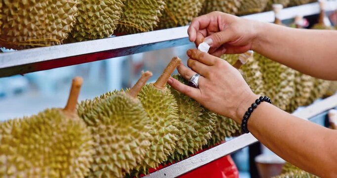 Hands labeling fresh durian fruit on display at outdoor street market, Durio zibethinus species, tropical agriculture commerce, documentary food industry.