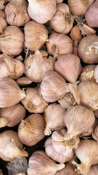 garlic on market