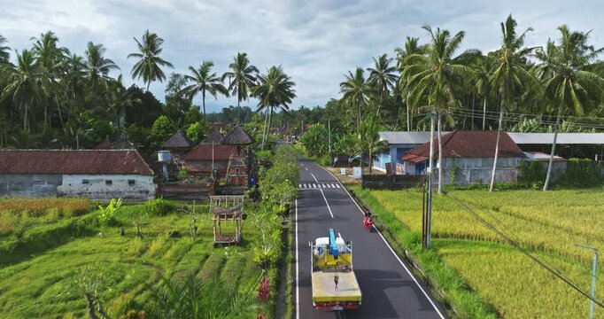 Bali island rural asphalt road winding through vibrant green rice paddies and traditional Balinese homes. Surrounded by dense tropical palm tree foliage under an overcast sky. Aerial view drone shot