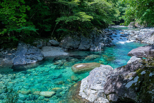 阿寺渓谷の清流