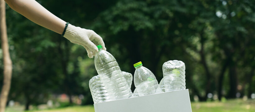 Volunteer collecting empty plastic bottles in park for recycling, environmental cleanup, waste reduction and sustainable living