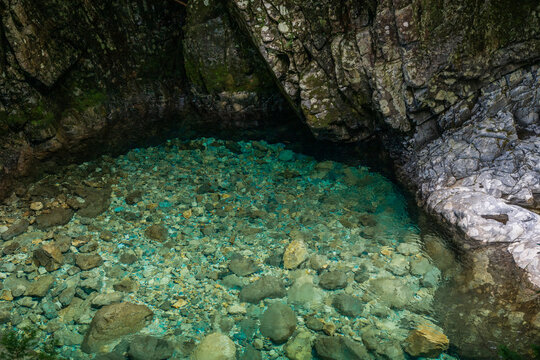 阿寺渓谷の清流