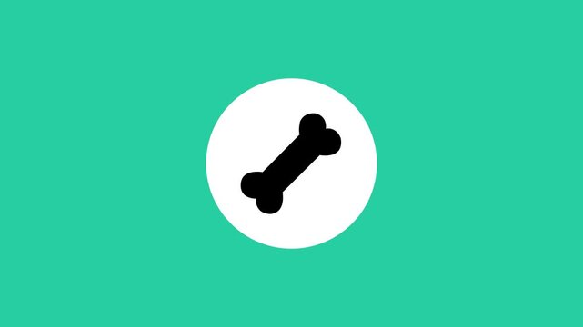 Bone pet treat icon animation on white circle background for animal care and veterinary concept video loop