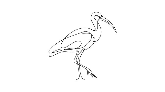 Isolated single line drawing of an ibis bird with a long curved beak elegant minimalist art