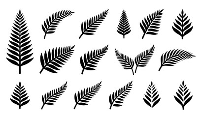 New Zealand Silver Fern Black Silhouette Vector Collection, Botanical NZ Leaf Set © Saima