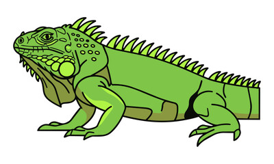 Fototapeta premium Side profile of a stylized green iguana with a serrated crest composed of bold geometric shapes and flat colors isolated on a white background nature concept