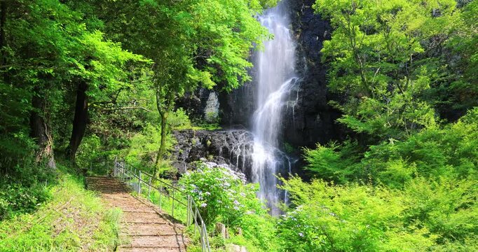 香川県三豊市にある不動の滝