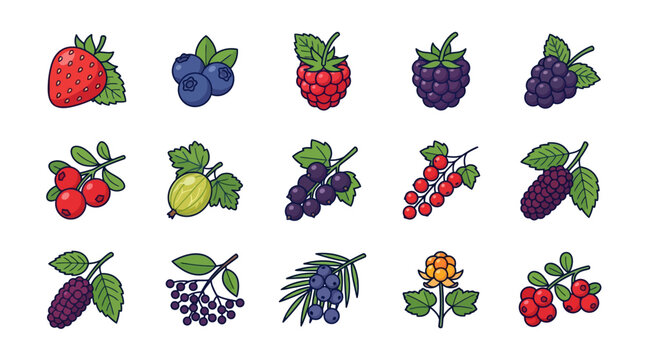 Colorful Berry Collection: Strawberry Blueberry Raspberry Blackberry Cranberry Gooseberry Grape Currant Mulberry Elderberry Juniper Cloudberry Lingonberry.