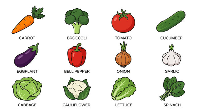 Collection of Fresh Vegetables Illustration.