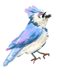 Fototapeta premium blue tit on white background