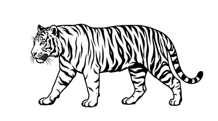 Obraz premium Walking Tiger Outline Vector Illustration