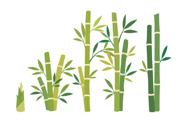 Obraz premium Green Bamboo Stalks and Shoots Set Vector Asian Nature Forest Clipart