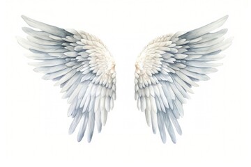 Naklejka premium White angel wings bird white background creativity.