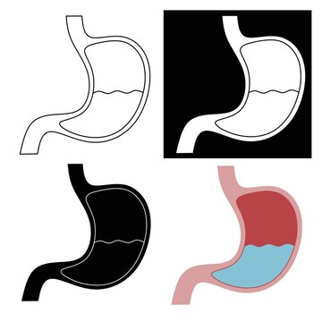 Set stomach vector icon,stomach icon design set,stomach icon design collection,set stomach icon vector, stomach icon design set illustration, stomach design icon collection 