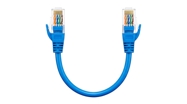 Blue coiled ethernet network cable with rj45 connectors