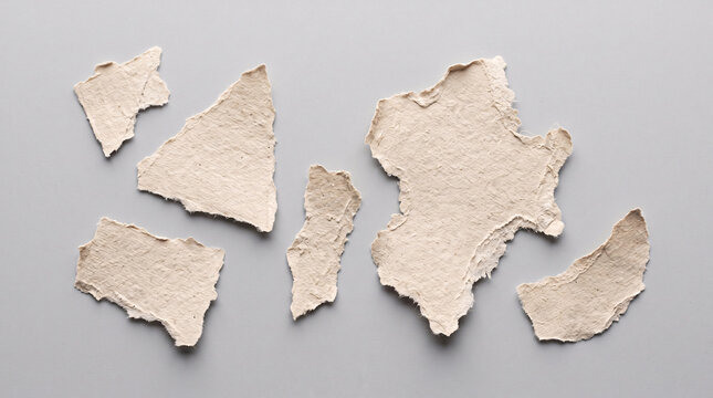 Morceaux de papier artisanal d&eacute;chir&eacute; dispos&eacute;s sur fond blanc