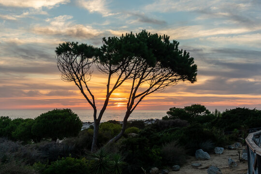 sunset on La Barrosa beach in Sancti Petri, Cadiz, Spain