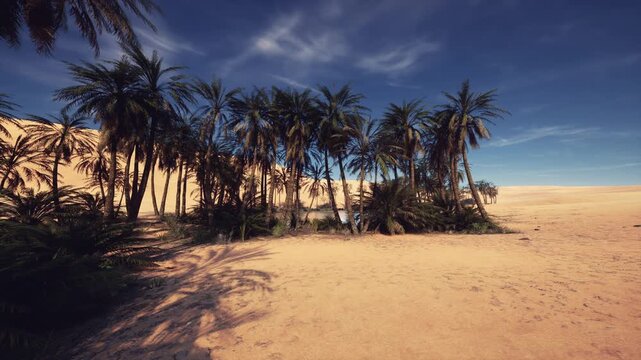 serene dune edge with scattered palms and soft sand, calm horizon under clear sky, minimalist composition with textured patterns and subtle sunlight, ideal
