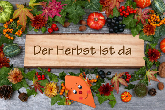 Holzschild mit Schriftzug Der Herbst ist da umgeben von herbstlicher Dekoration