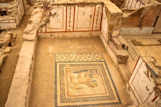 Mosaics on the floor in the ancient city of Ephesus. Lion figure mosaic in Efes. Open air museum. Historical touristic area. Top view, above, up. 