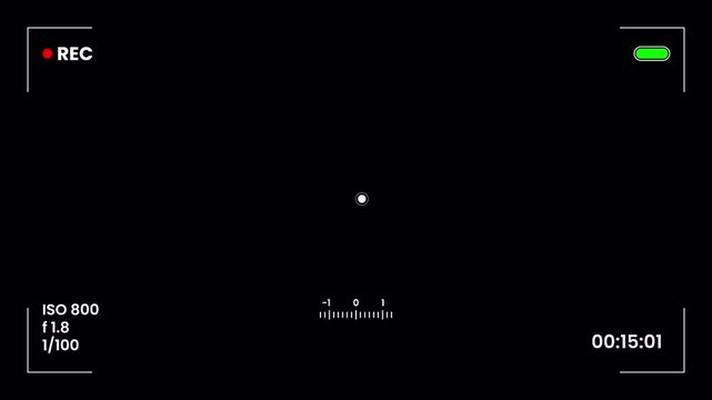 Digital camera viewfinder interface overlay with recording indicator and timecode on black background
