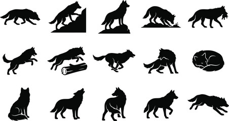 Obraz premium Set of black silhouette wolf poses in different actions and behaviors on white background