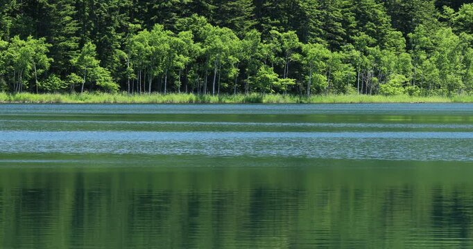 オンネトー湖畔