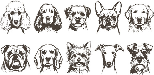Fototapeta premium A charming collection of canine portraits featuring various breeds in a neutral vintage style