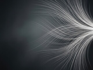 Fototapeta premium Title: Abstract White Light Flow on Dark Background 