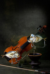 Still life with a sunfish and a violin © i_valentin