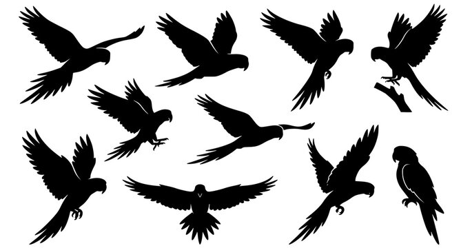 10 Flying Parrot Silhouettes Vector Collection with Dynamic Tropical Bird Flight Poses